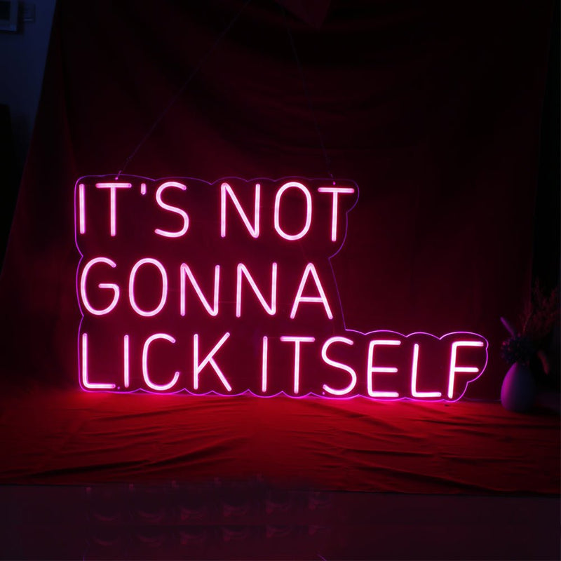 Its Not Gonna Lick Itself LED Neon Sign