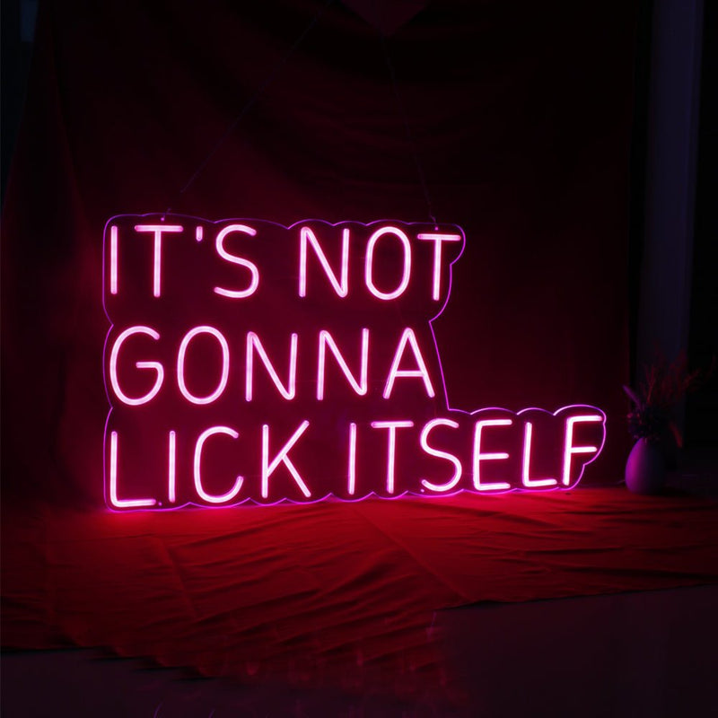 Its Not Gonna Lick Itself LED Neon Sign