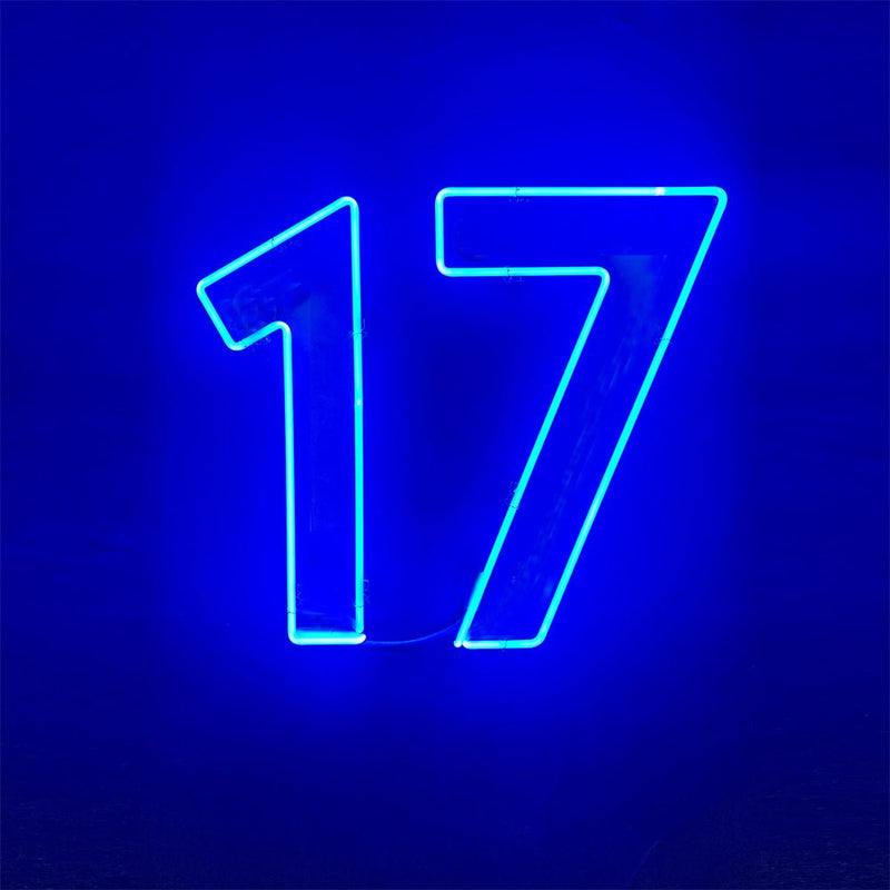 Seventeen Happy Birthday Neon Sign