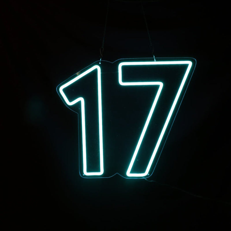 Seventeen Happy Birthday Neon Sign