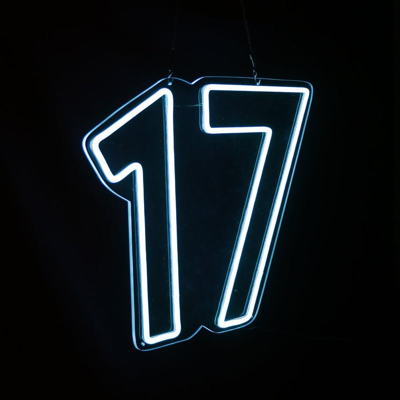 Seventeen Happy Birthday Neon Sign